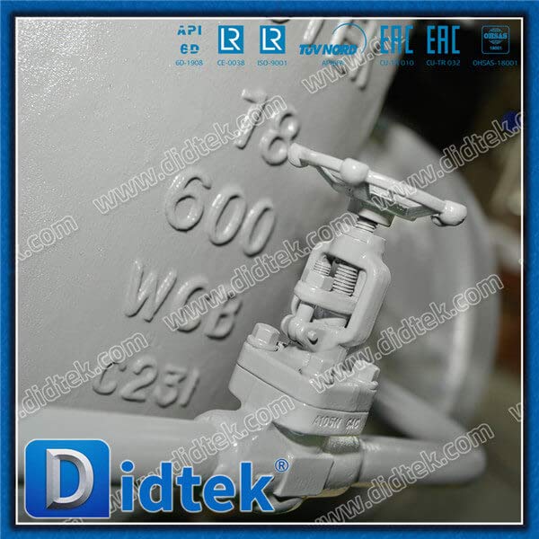 Steam BW 18'' WCB Gate Valve with Bypass