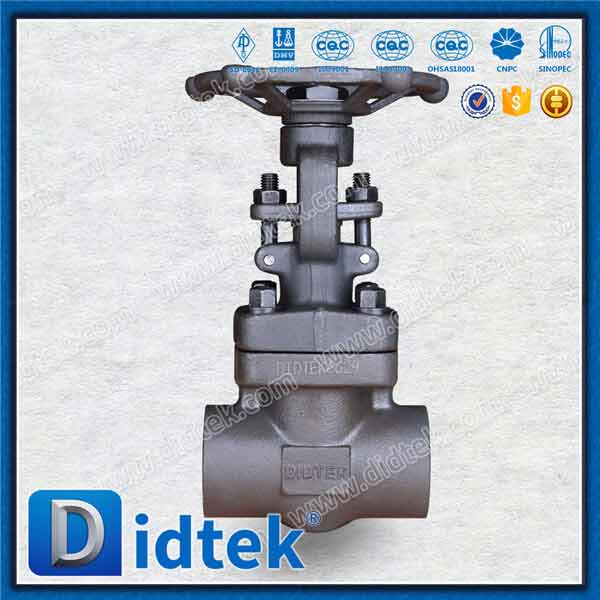 Bolted Bonnet Forged Gate Valve