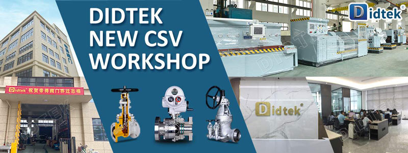 Didtek New CSV Workshop 2020